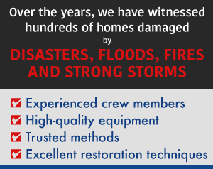 Natural Disaster Services