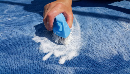 Carpet Shampooing