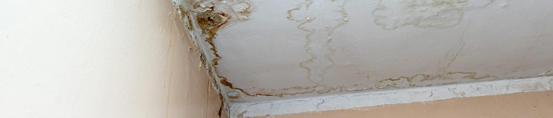 mold from water leak in ceiling