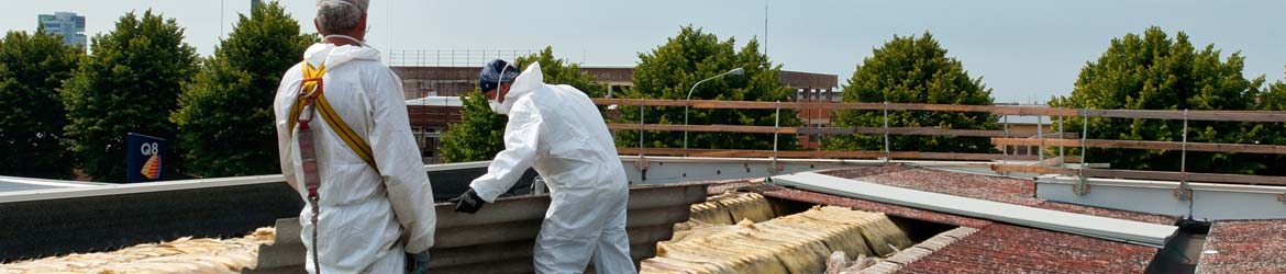 Asbestos Removal Services