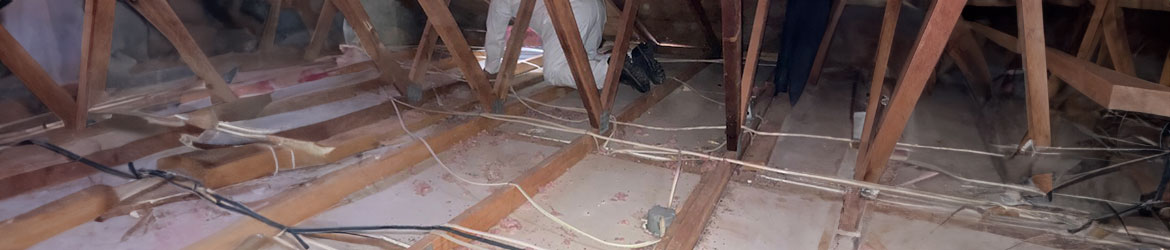 Attic Damage