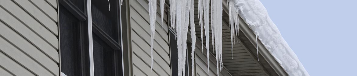 Heavy snow and ice damaged in Durango.