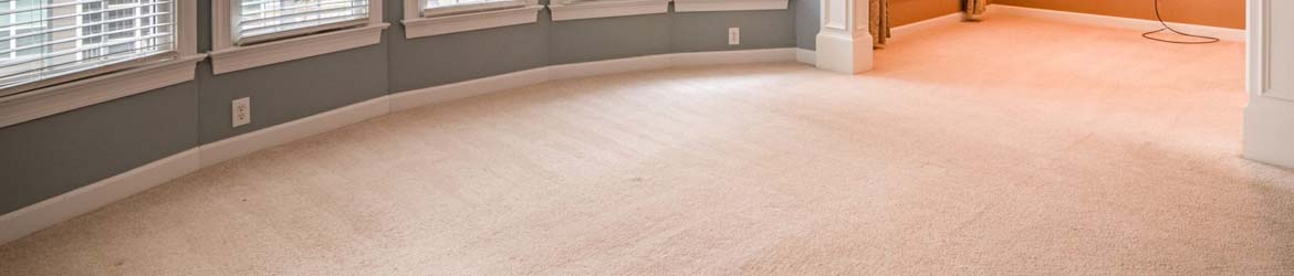 Carpet cleaning