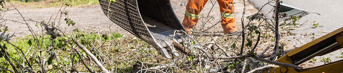 Disaster restoration clean up