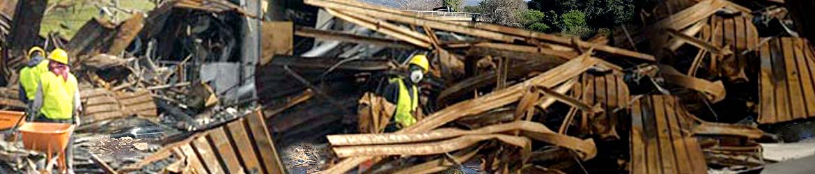 Mudslide Restoration