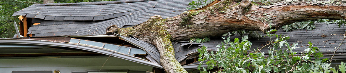 Roof Damage 