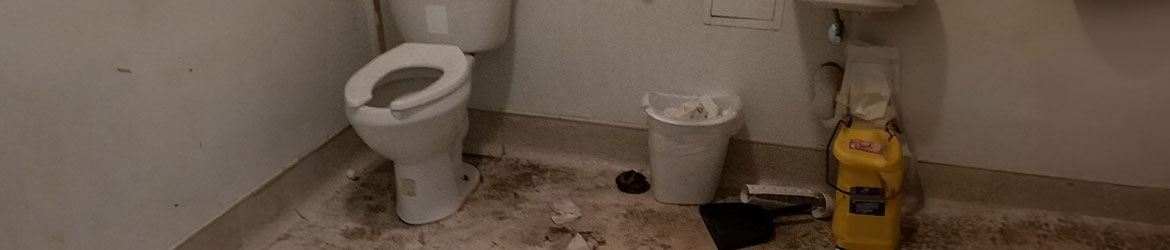 Toilet Overflow Cleanup