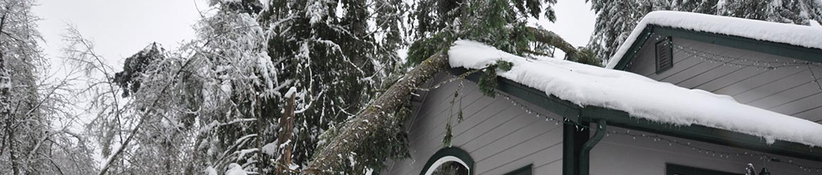 Winter Storm Damage
