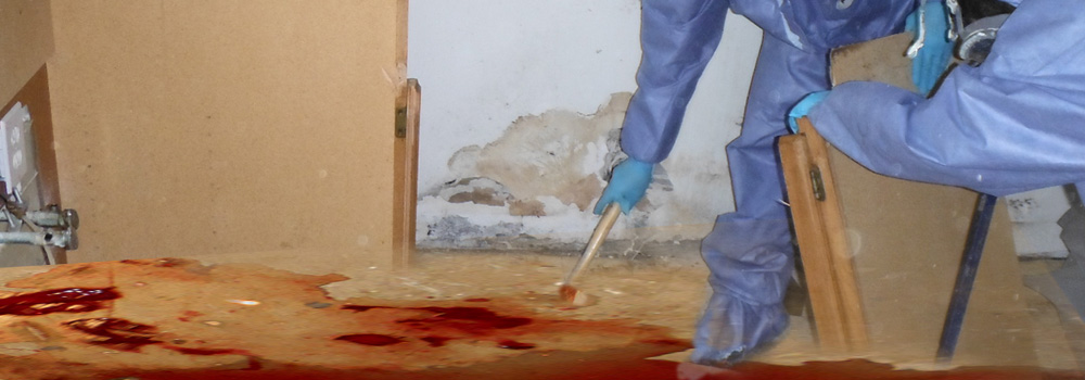 blood cleanup durango farmington cortez and pagosa springs blood clean up