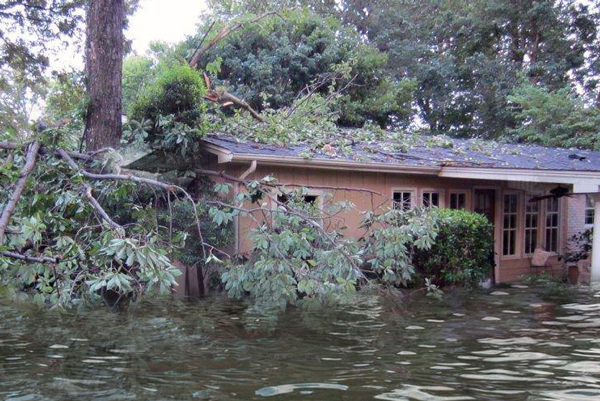 A house After Monsoon What to Do After a Monsoon