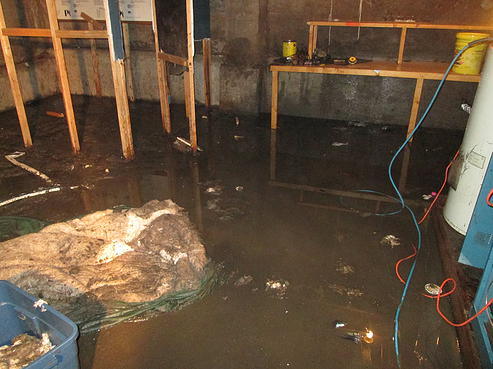 Natural Disaster Preparation Natural Disaster Preparation