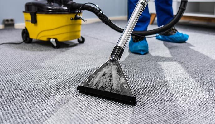 An expert cleaning carpet using a vacuum cleaner