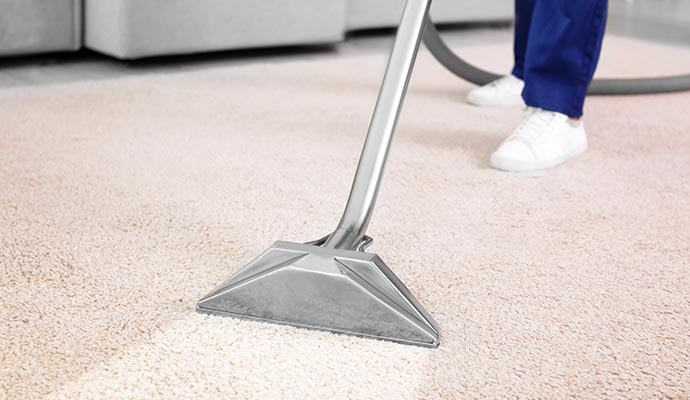 Expert providing professional carpet cleaning service