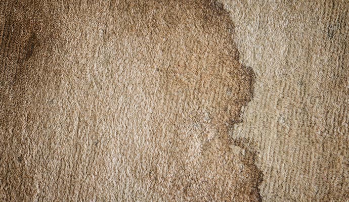 Old carpet with a visible dried stain