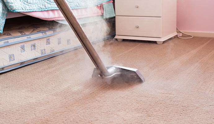 Professional steam cleaning service for a residential carpet