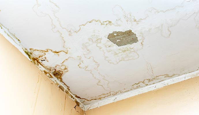 A low-angle shot of a white ceiling and corner wall showing large, yellowish-brown water stains in a ring pattern