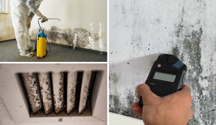 Collage of mold remediation service, moldy HVAC and mold testing