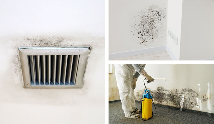 Collage of moldy ceiling air vent, wall mold, and technician spraying remediation solution