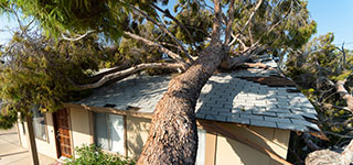 Storm Damage Restoration