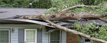 Storm Damage Restoration