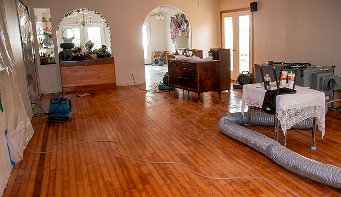 Drying equipment and air movers set up