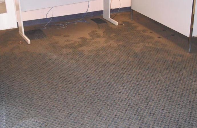 Flood Damaged Carpet Cleaning