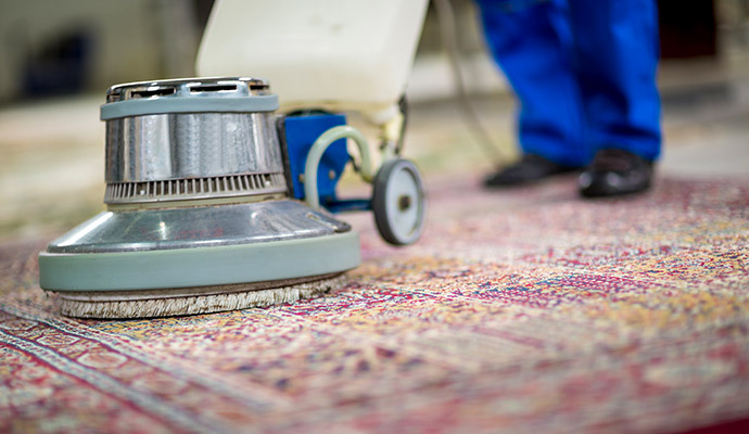 Industrial scrubber cleaning a patterned oriental area rug