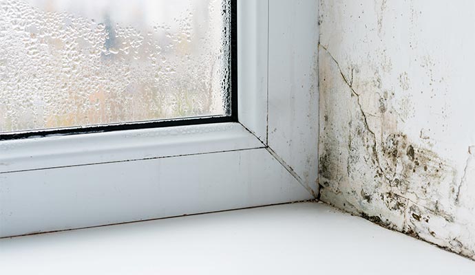 Visible black mold and moisture condensation on a residential window frame and wall