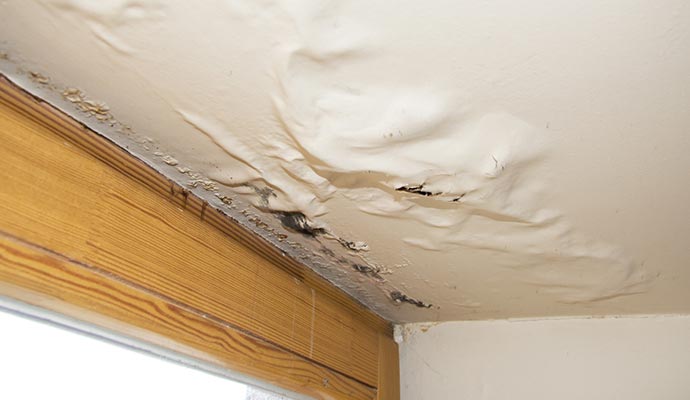 Water damaged ceiling