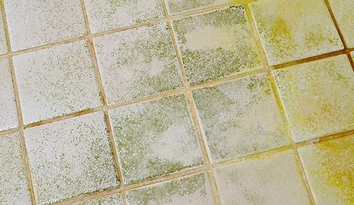 Mold damaged tile floor
