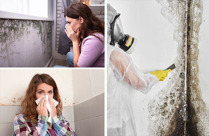Mold Related Health Issues