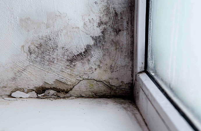 Mold on the ceiling