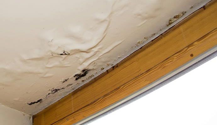 Mold on ceiling caused by water leaks Black mold growing on ceiling due to water leak