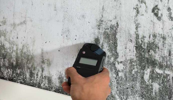 Professional mold testing with device Worker testing mold on wall with mold testing device