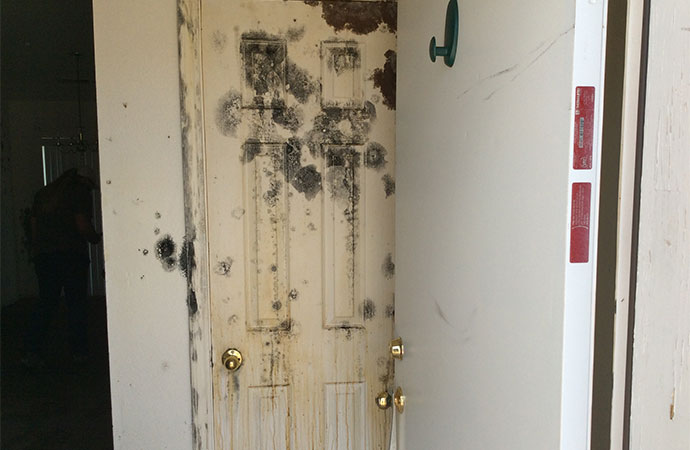 Mold growth on door and wall