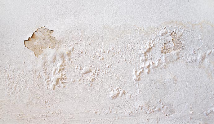 A close-up view of a white interior wall showing significant water damage, with large areas of bubbling, cracked, and peeling paint