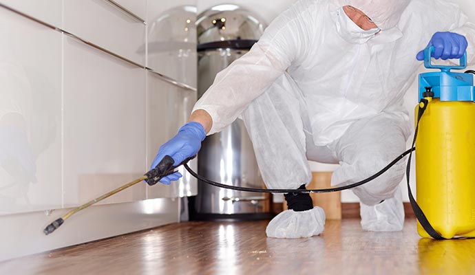 Professional disinfecting service Professional disinfecting service