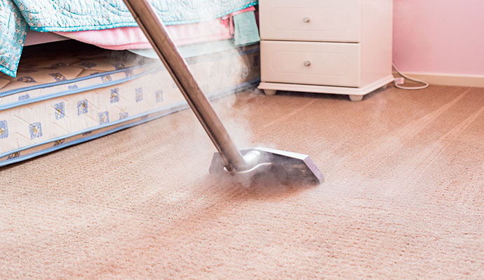 Carpet steam cleaning for odor removal