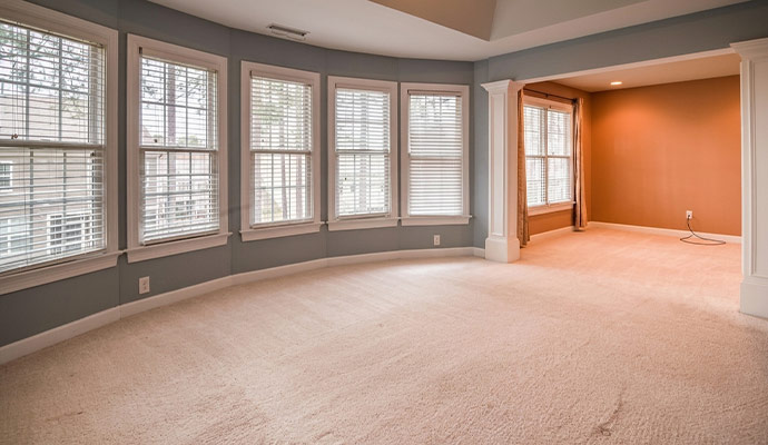 Carpet Odor Removal in Durango and Pagosa Springs