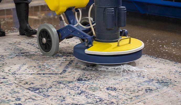 Professional rug cleaning