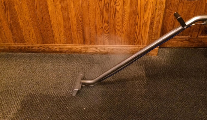 Professional steam cleaning wand on a dark textured carpet