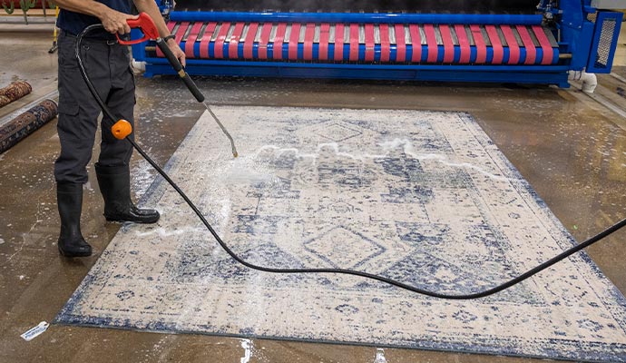 Professional rug cleaning service