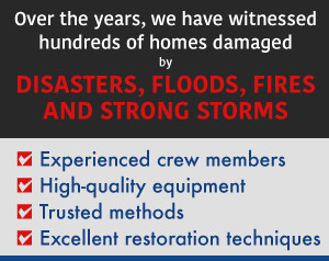 Natural Disaster Services Natural Disaster Services