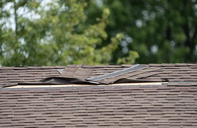 shingles on the roof were damaged because of the storm.