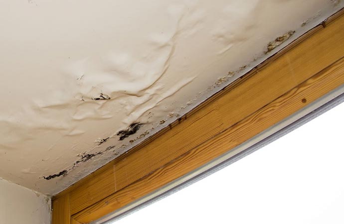 Signs of Water Damage