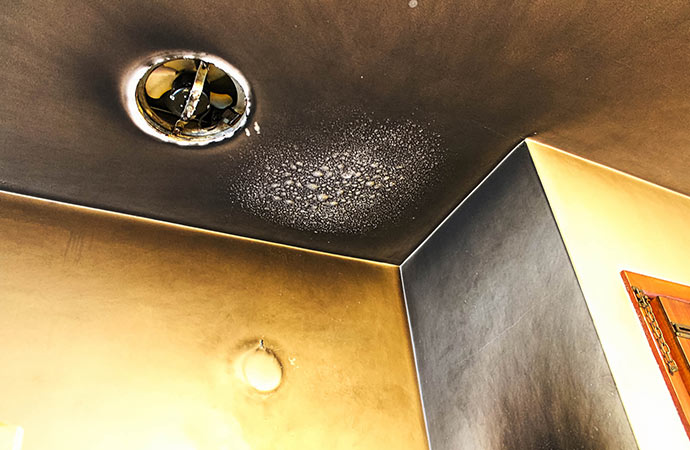 Smoke & soot damaged ceiling.
