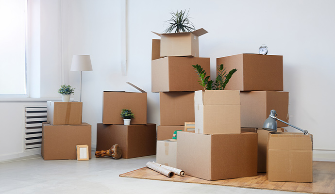 Stacked cardboard moving boxes with plants and lamps