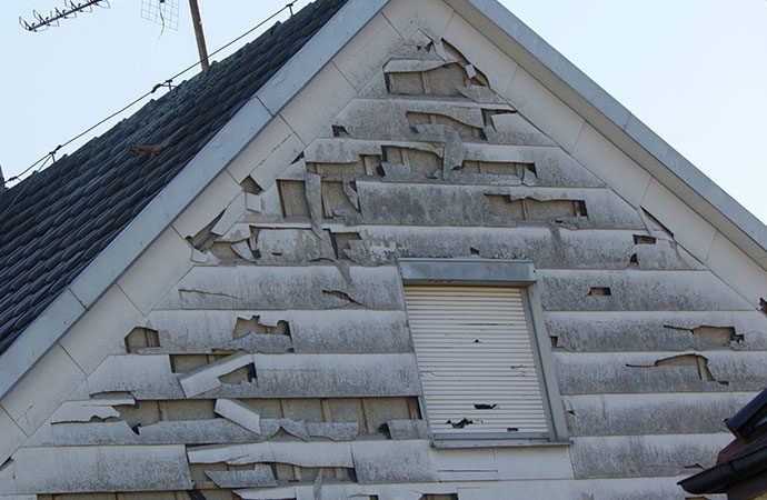 Hail damage insurance claim