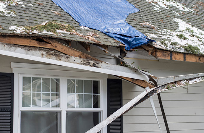 Roof and gutter repairing