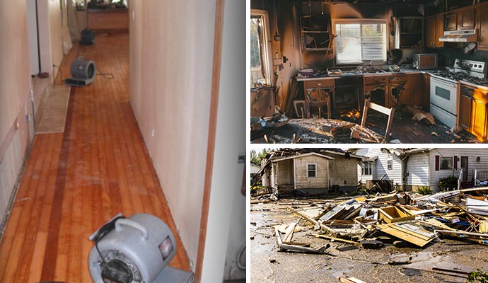 Collage of water removal equipment, burned house, and storm damaged house